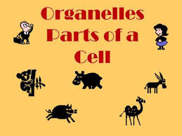 Can the net harness a bunch of volunteers to help bring books in the public domain to life through podcasting? Animal Cell Ppt Download