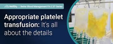 Image result for Platelet Transfusion