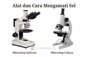 Maybe you would like to learn more about one of these? Mengamati Sel Cara Alat Dan Contoh