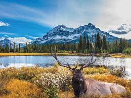 ナイアガラ、カナディアンロッキーとバンクーバー 9日間カナディアンロッキーはナイアガラの滝と並ぶ、カナダで最も人気のある観光地 (c) travel albertaナイアガラの滝、カナディアンロッキー、バンクーバーといった、定番の有名どころをきっちりと押さえ、なおか. ã‚«ãƒŠãƒ€è¦³å…‰ã‚¬ã‚¤ãƒ‰ äººæ°—ã®è¦³å…‰ã‚¹ãƒãƒƒãƒˆ ãƒ™ã‚¹ãƒˆ7 é˜ªæ€¥äº¤é€šç¤¾