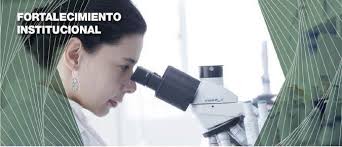 Presentación de PowerPoint