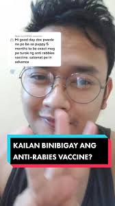 Rabbi Vaccination Desert Dog