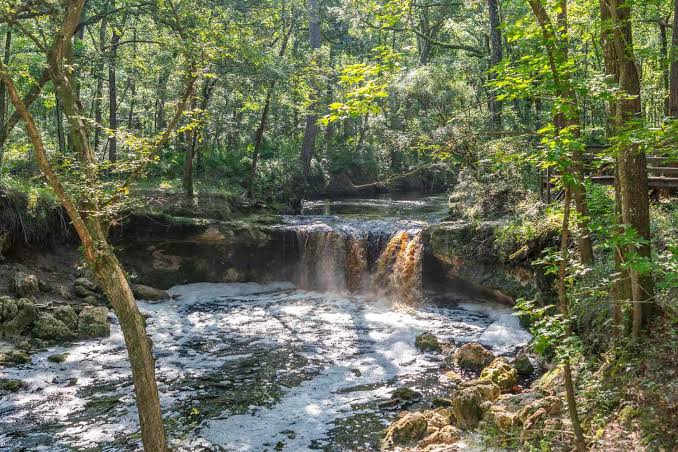 Falling Waters State Park Has Florida's Tallest Waterfall and a Butterfly  Garden