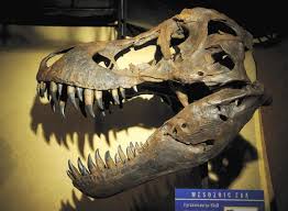 Youngsters stream to free dinosaur display at Freeport museum