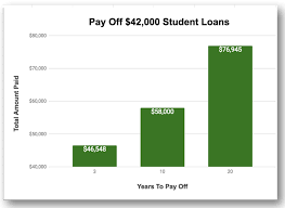 The length of time it takes to pay off your student debt depends on your specific. How I Paid Off Over 42 000 In Student Loans In 34 Months Earning 36 000 Per Year Making Sense Of Cents