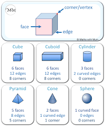 In a cube, there are 6 faces, 8 vertices, and 12 edges. Faces Edges And Vertices Of 3d Shapes Maths With Mum