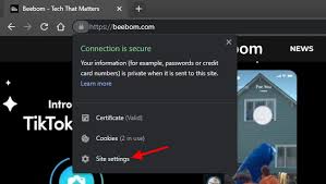 Glücklicherweise sind diese probleme einfach zu beheben. So Kontrollieren Sie Die Datenschutzberechtigungen Pro Website In Google Chrome De Atsit