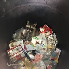 Tyler Bruns (@TylerJohnBruns)