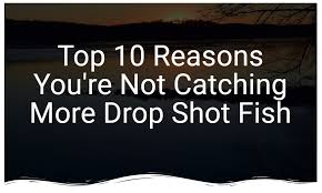 Make sure your hook point is facing upward and leave a tag end roughly 18 inches in length. How To Tie A Drop Shot Mythik Lures