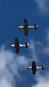 Image result for Green 2025 Fleet