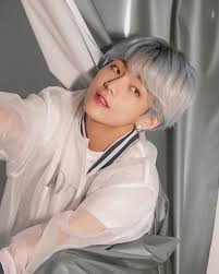 Bts V Merchandise Bts V Merch Bts Merch V Bts V Hoodie Bts V Sweatshirt Bts V Jacket Bts V Shirt Bts V Cabello Color Plata Look De Cabello Cabello Gris