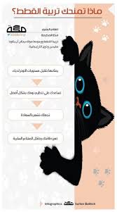 إنفوجرافيك ماذا تمنحك تربية القطط صحيفة مكة infographic infographic art lockscreen