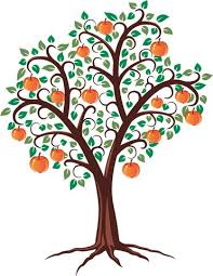 Roots Shoots And Fruits Apple Tree Flowers Apple Tree Drawing Tree Painting Easy
