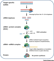 The use of genetically altered insects has the most potential for successfully displacing certain pesticides, although the development of. Does Rnai Based Technology Fit Within Eu Sustainability Goals Trends In Biotechnology