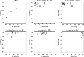 Testis/epididymis with malignant mesothelioma (specimen 1; Markers For The Non Invasive Diagnosis Of Mesothelioma A Systematic Review British Journal Of Cancer
