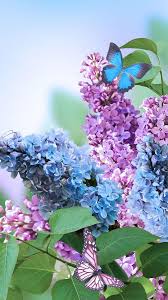 Check spelling or type a new query. Spring Wallpaper Android Posted By Ryan Peltier