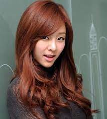 Pin By Dana Perkins On Hairstyles Hair Color Asian Red Brown Hair Color Korean Hair Color