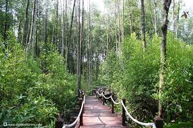 Kuala lumpur, malaysia183 contributions54 helpful votes. Matang Mangrove Forest Reserve Taiping 34650 Malaysia Mangrove Forest Forest Reserves Mangrove