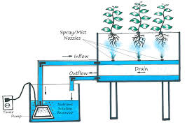 This fine mist allows the roots to get a lot more oxygen than in. What Is Aeroponics Farming Why You Should Care By Pramodaiml Krishi Wise Medium