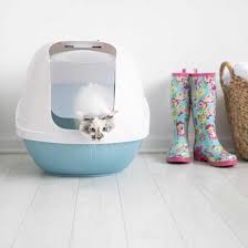 How To Pick The Right Litter Pan For Your Cat Petmate Academy In 2020 Pet Mat Litter Box Litter