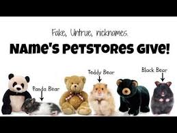 Black Bear Stuffed Animal Names Chocolatecolors26 Fake Nicknames For Hamsters Such As The Panda Bear Hamster Teddy Bear Hamster Black Bear Hamste Bear Hamster Hamster Care Hamster Breeds