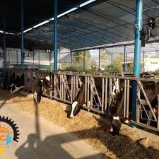 Teknik dış ticaret limited şirketi olarak faaliyet alanımız, optik ve manyetik veri depolayıcı sarf malzemeler olarak adlandırılan; Referanslar Inci Makina Tekstil Nemlendirme Ve Acik Serinletme Sistemleri Makina Pano Imalati
