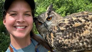 Training an european eagle owl