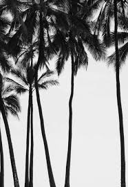 Random Inspiration 134 Zwart En Wit Fotografie Minimalistische Fotografie Achtergronden