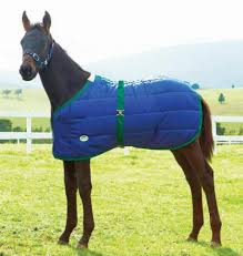 Weatherbeeta Newborn Foal Blanket