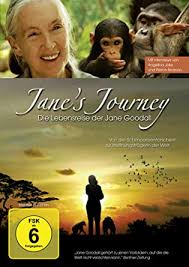 We just have to reed her books to understand her work, not only with my daughter loves apes, and we all love jane goodall. Jane S Journey Die Lebensreise Der Jane Goodall Amazon De Jane Goodall Pierce Brosnan Angelina Jolie Hugo Lawick Wolfgang Netzer Christian Heyne Katie Melua Jane Goodall Pierce Brosnan Richard Ladkani Andre Zacher Philipp