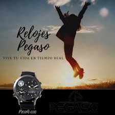 Pin En Relojes Pegaso Vive Tu Vida En Tiempo Real