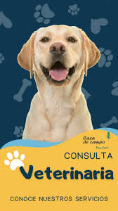 Casa De Campo DON LALO (Pet Shop)