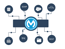 Mule esb allows developer to connect applications easily and quickly. Mulesoft 101 What Can Mulesoft Do For Your Salesforce Org Salesforce Ben