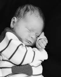 Emily Ingalls Photography