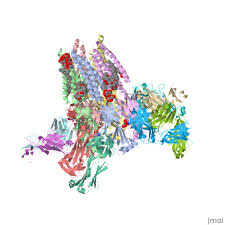 The drug was developed in the 70s as a veterinary drug to kill intestinal. Ivermectin Proteopedia Life In 3d