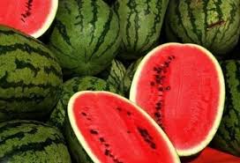 Majalah teknotani april 1993 dan bingkisan pertanian bil. Tumbuh Semangka Di Tanah Terbuka Dan Di Rumah Hijau Di Siberia Penanaman Dan Penjagaan