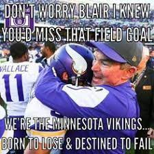 Vikings Suck
