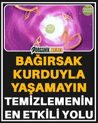 Bagirsak Kurtlarini Temizlemenin En Etkili Ve Dogal Yolu 2020 Saglik Metabolik Diyet Ilham Veren Alintilar