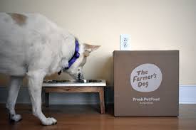 We did not find results for: The Farmer S Dog Reviews 2021 Perfect Dog Food Woof Whiskers