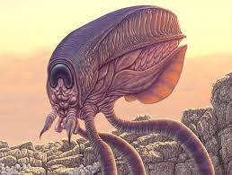 Image result for Exotheca