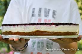 Frulla i biscotti senza glutine con un mixer dotato di lame; Cheesecake Senza Glutine Senza Cottura Ricette Di Una Mamma Celiaca