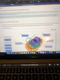 Check spelling or type a new query. Answered Session Masteringbiology Com An Animal Bartleby