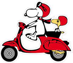 Pin On Snoopy And The Gang