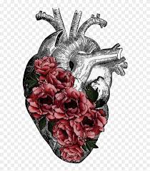 Get all of hollywood.com's best movies lists, news, and more. Replace Veins With Tree Roots Anatomy Art Heart Anatomy Anatomical Heart With Flowers Png Clipart 2622638 Pikpng