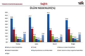 Maybe you would like to learn more about one of these? Denizlihaber Com Denizli Haberleri Iste Denizlililerin Olum Nedeni Denizlihaber Com Denizli Haber Denizli Nin En Cok Okunan Gazetesi