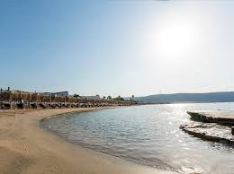 When asked to give a receipt they. Summer Opening To Coyoacan Playa Katebainei Sth Barkiza Downtown Gr