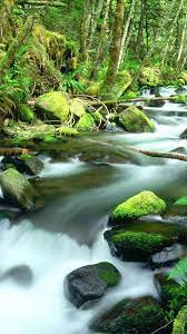 Only the best hd background pictures. Nature Portrait Wallpapers Top Free Nature Portrait Backgrounds Wallpaperaccess