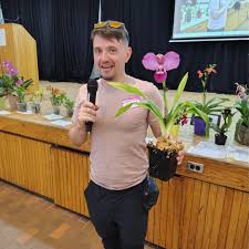 Image result for Cynorkis brevicalcar