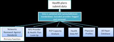 This information is published in cooperation with the new york state department of motor vehicles. Https Www Health Ny Gov Health Care Managed Care Docs Dictionary Pdf