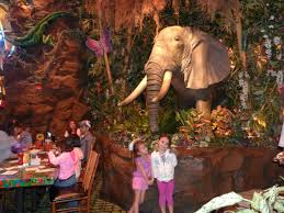 Maybe you would like to learn more about one of these? Rain Forest Cafe In San Francisco Forest Cafe Rainforest Francisco